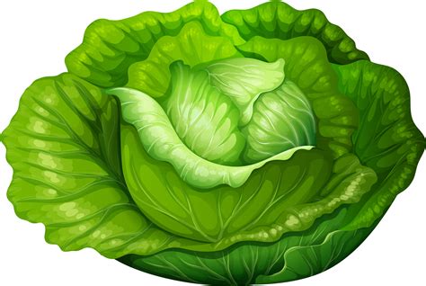 Lettuce Images Clipart 10 Free Cliparts Download Images On Clipground
