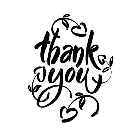Thank You Text On White Background Calligraphy Lettering Modern Brush