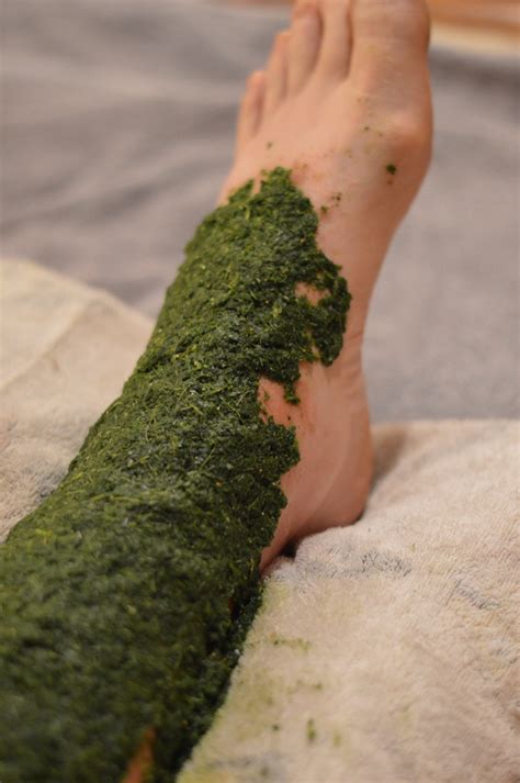 How To Make A Poultice With Herbs Joybilee Farm Diy