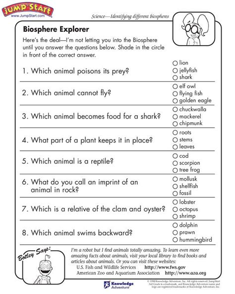 3rd Grade History Questions And Answers