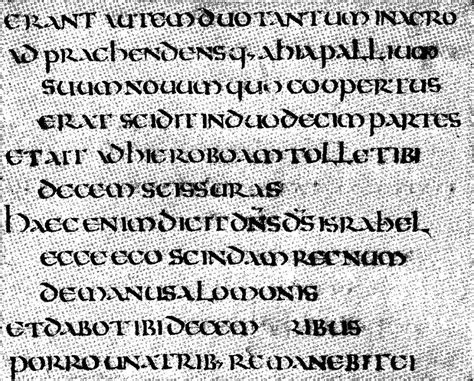 bible translations into latin alchetron the free social encyclopedia