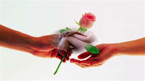 Cynthyp has uploaded 2110 photos. Happy Rose day 2017 -हिंदी Shayari विडियो- Romantic video ...