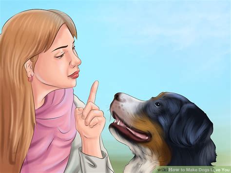 So it's strongly recommended that handlers do a few minutes every day of basic obedience commands with their dog, to remind them. How to Make Dogs Love You (with Pictures) - wikiHow