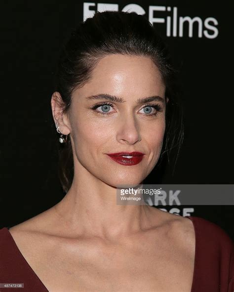 Amanda Peet Attends The Premiere Of Ifc Films Sleeping With Other Filme Amanda Hollywood