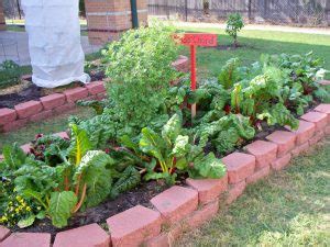 We did not find results for: Web Education: Fall Vegetable Gardening - Urban Harvest