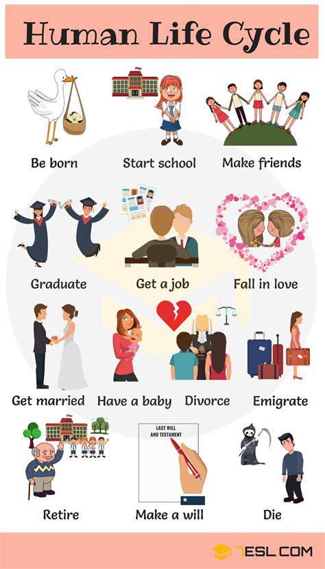 Stages Of Life Cycle The Five Stages Of Business Life Visually