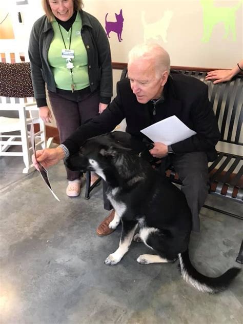 Former Vice President Joe Biden Gets A New Four Legged Friend The
