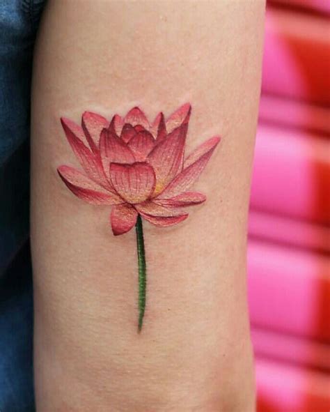 Pin By Francieli Minosso On Tattoos Pink Lotus Tattoo Flower Tattoo