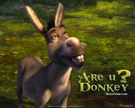 Donkey Wallpapers Wallpaper Cave