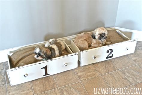 26 Best Diy Pet Bed Ideas And Designs For 2017