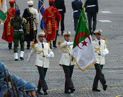 Algerias Massive Protests Against Its Ailing Leader Explained Vox