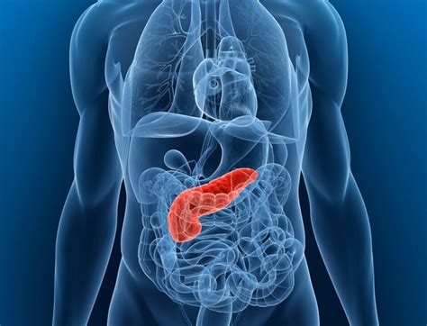 5 Warning Signs Your Pancreas Is In Trouble Geelong Medical And Health