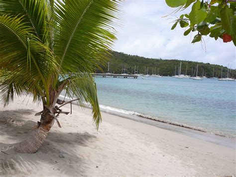 Members can experience all the hotel services and receive exclusive rates and privileges throughout the property and at our beach. A Food-lover's Guide to Martinique Food and Drink