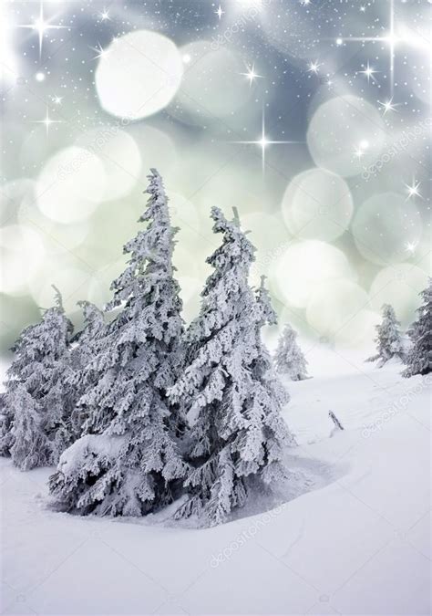 Christmas Background With Snowy Fir Trees — Zdjęcie Stockowe