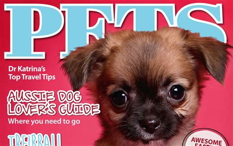 Pets 53 On Sale Now Pets