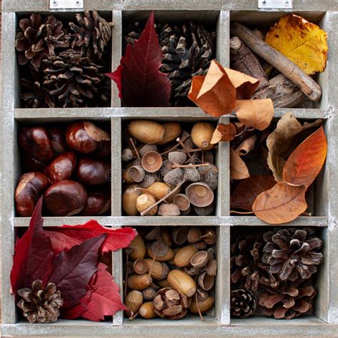 Cozy Autumn Things Stock Image Image Of Handmade Decorate 159605027