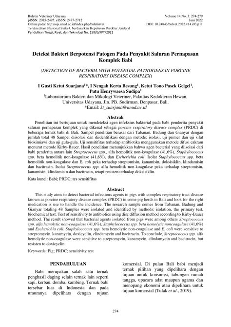 PDF Deteksi Bakteri Berpotensi Patogen Pada Penyakit Saluran