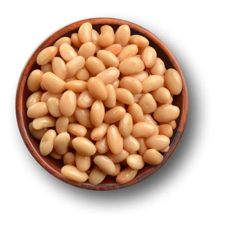 Great northern bean vegetable soupgreen valley. Great Northern Beans - Green Valley Organics