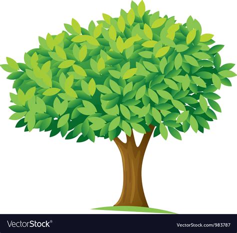 Tree Royalty Free Vector Image Vectorstock