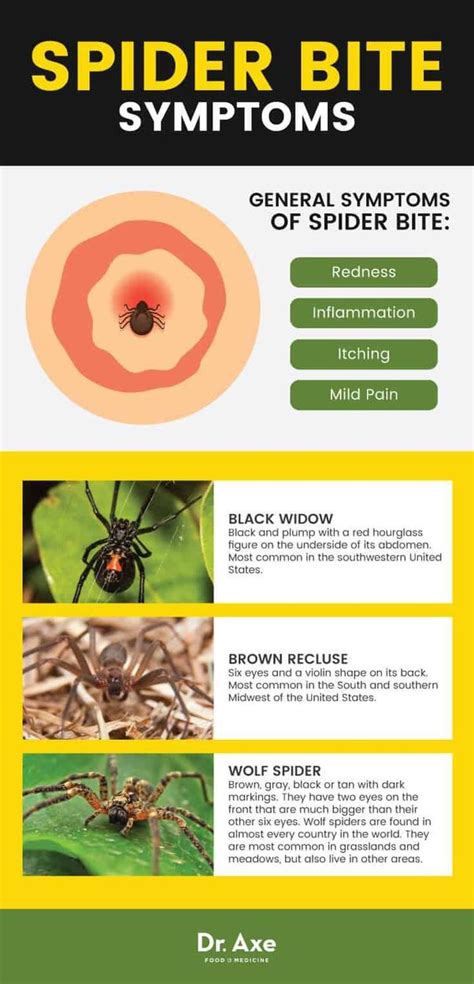 Recluse Spider Bite Stages