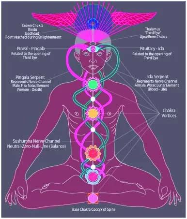 What Is Kundalini Breath Of Balance Yoga In Rishikesh