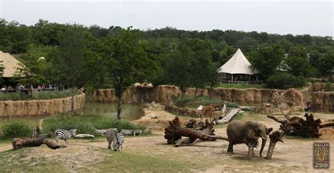 Us Fish And Wildlife Service Approves Permit For Zoos To Offer Homes