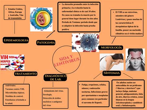 Mapa Conceptual De Microbiología Mapapapa