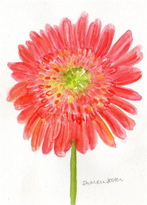 Gerbera Daisy Watercolor At Paintingvalley Com Explore Collection Of