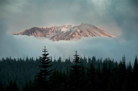 Nature Landscape Winter Snow Mountain Trees Forest Mist Clouds Wallpapers Hd Desktop