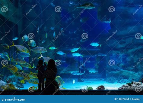 Young Woman With Baby Watch A Fish In Aquarium Editorial Stock Image