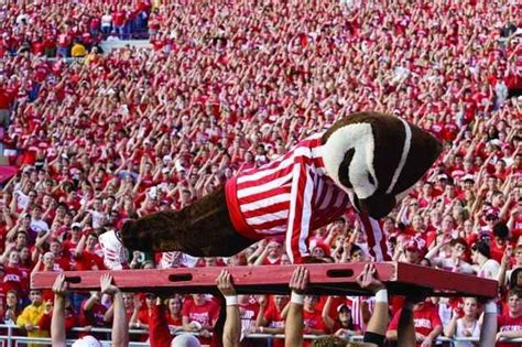 40 signs you went to the university of wisconsin madison university of wisconsin university