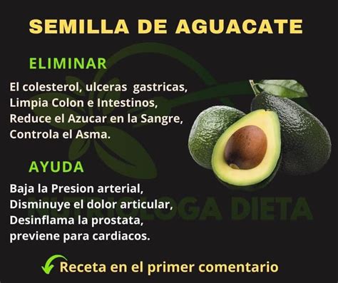 Beneficios De La Semilla De Aguacate Que Seguro No Conoces Nutricion