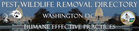 We look forward to making you another happy customer! Washington D.C. Pest Pest Wildlife Removal Pros At Pest ...
