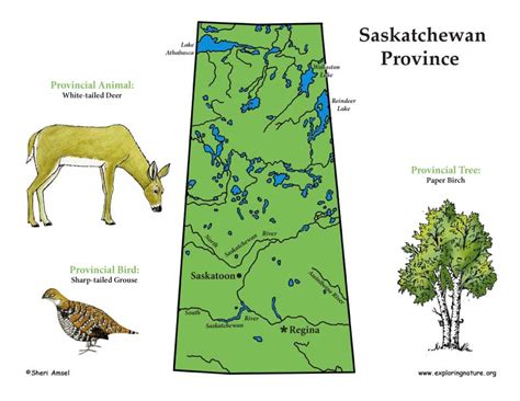 Facts on world and country flags, maps, geography, history, statistics, disasters current events, and international relations. Canadian Province - Saskatchewan