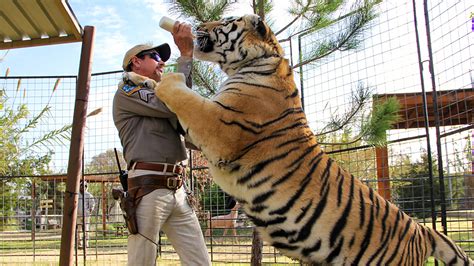 Where is 'tiger king' star dillon passage now after joe exotic's arrest? 'Tiger King': Where Everyone in the Series Is Now - Today ...