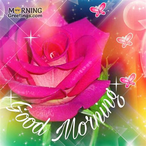 Good Morning Wishes With Rose Morning Greetings Morning Quotes And Wishes Images
