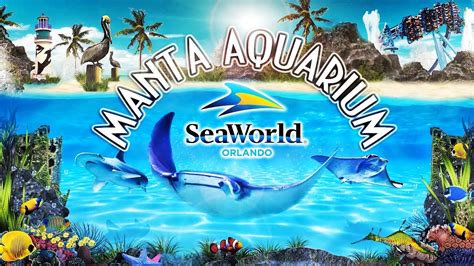 Zoo Tours Seaworld Orlando Manta Aquarium Youtube