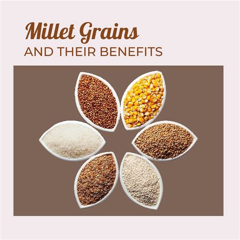 Different Types Of Millets And Their Benefits Momsqna