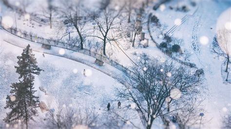 Snowy Toronto Bing Wallpaper Download