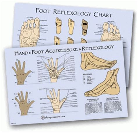Reflexology Pressure Point Chart Acupressure And Acupuncture Point