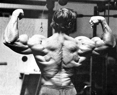 Millions of unique designs by independent artists. Arnold - Classic Workout 2 - Train Body and Mind