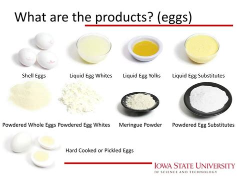 Ppt Poultry And Egg Production Powerpoint Presentation Free
