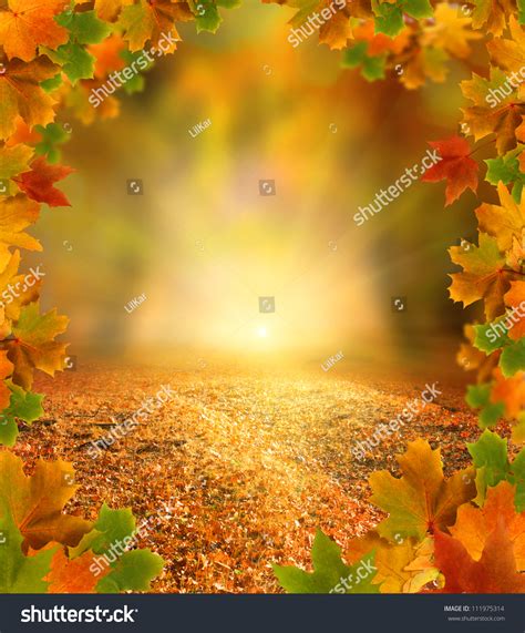 Autumn Background Stock Photo 111975314 Shutterstock