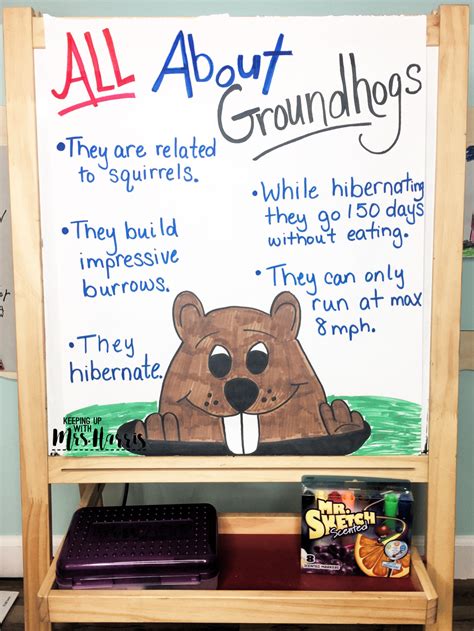 Preschool Groundhog, Groundhog Day Activities, Winter Preschool