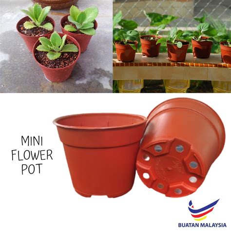 Mini Flower Pot Pasu Bunga Kecil Pasu Bulat Kecil Pasu Bunga Mini