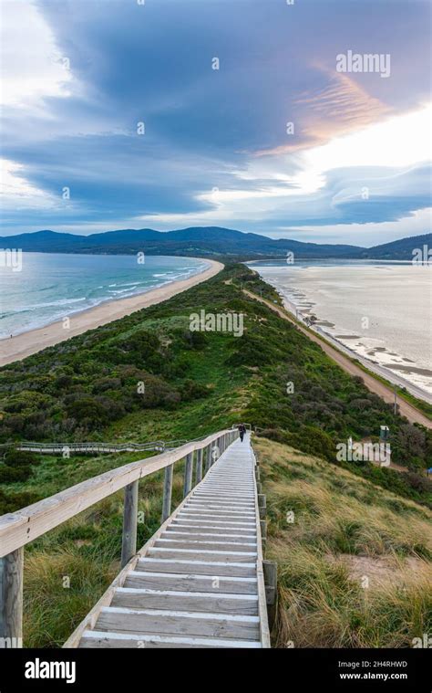 The Neck Lookout Bruny Island Tasmania Australia Stock Photo Alamy