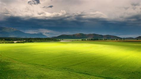 Landscape Photo Of Green Grass Field During Daytime Hd Wallpaper
