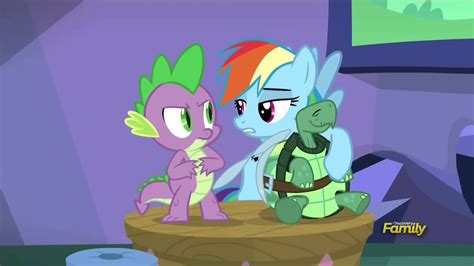 Rainbow Dash Gets A Second Opinion From Spike Tanks For The Memories