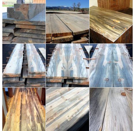 62 followers · furniture store. The Blue Pine Disaster, Part 2: What is BKP (Beetle Kill ...