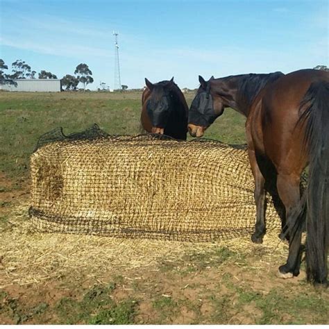 Aussie Grazers 8x4x4 Giant Square Bale Slow Feeder Hay Nets